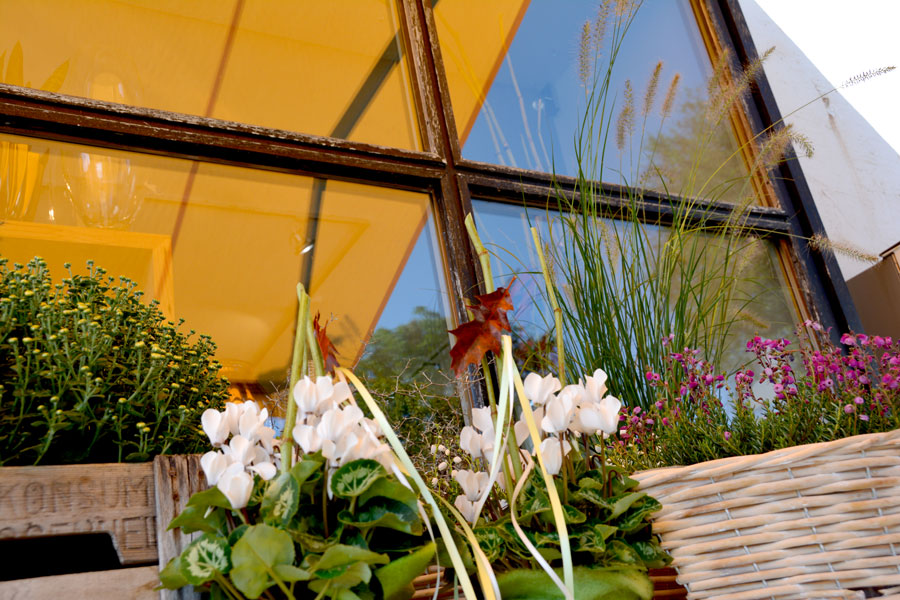 Homestory Blattwerk Rettenbach Homestory Dorfladen